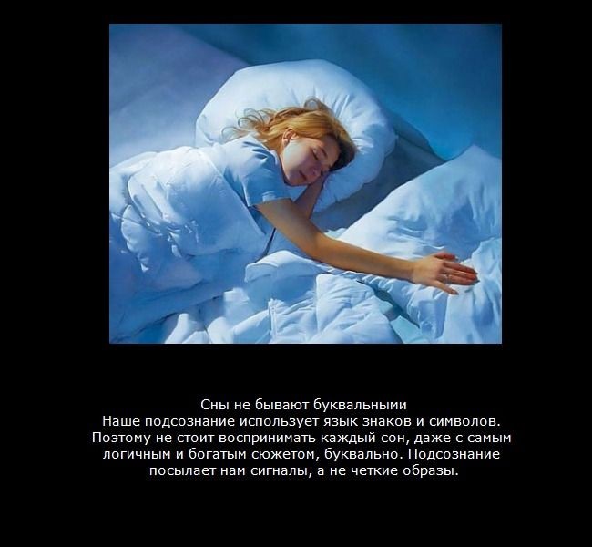 Интересные факты о сне