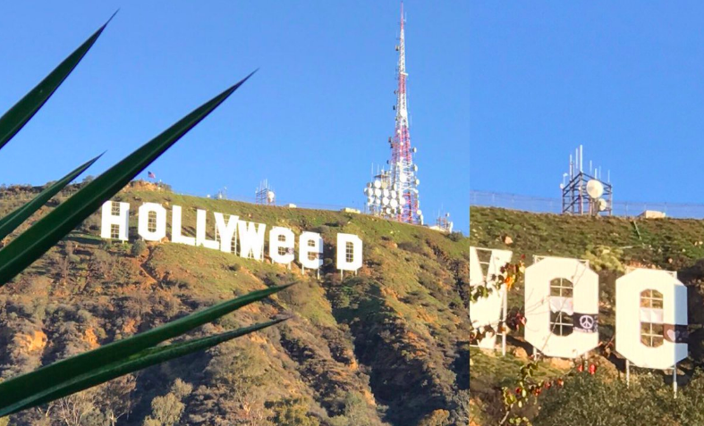Надпись «Hollywood» на калифорнийских холмах изменили на «Hollyweed»