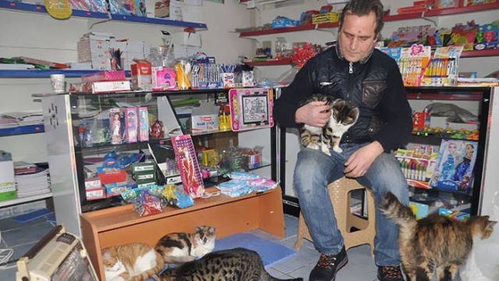 Как жители Стамбула помогали бездомным животным во время похолоданий