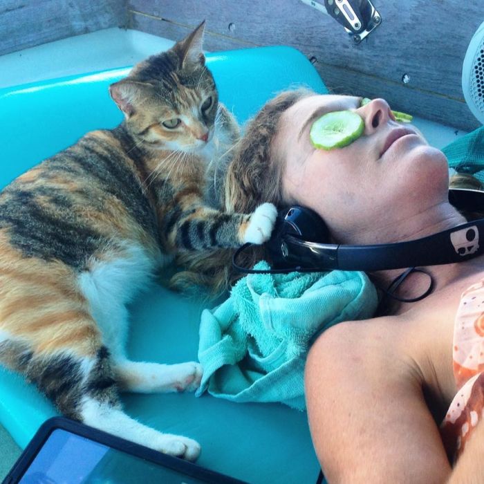 Американка путешествует на лодке с кошкой 