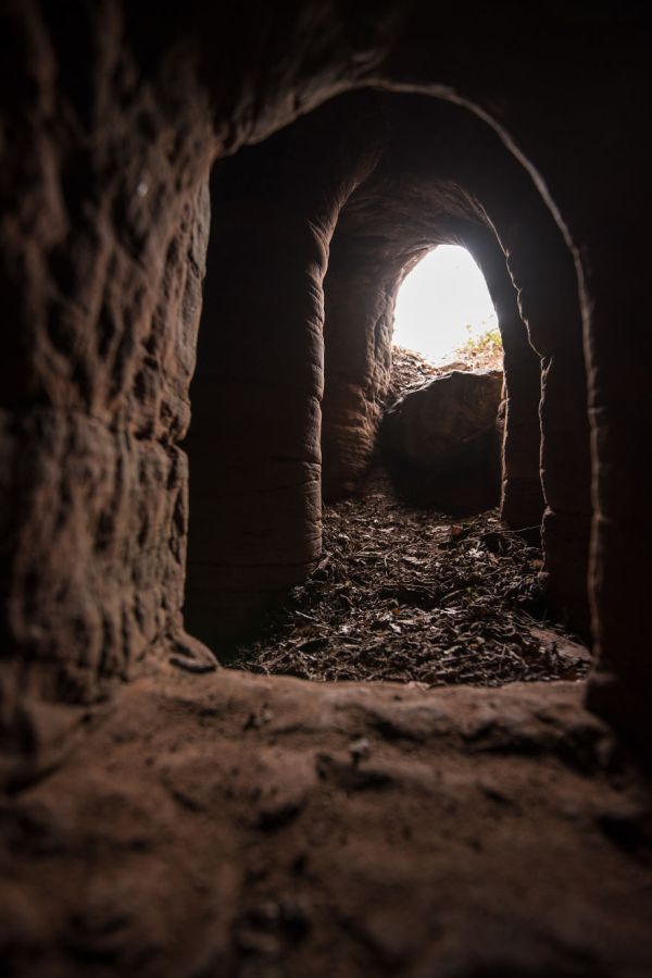 Кроличья нора 700 лет скрывала за собой вход в пещеру тамплиеров 