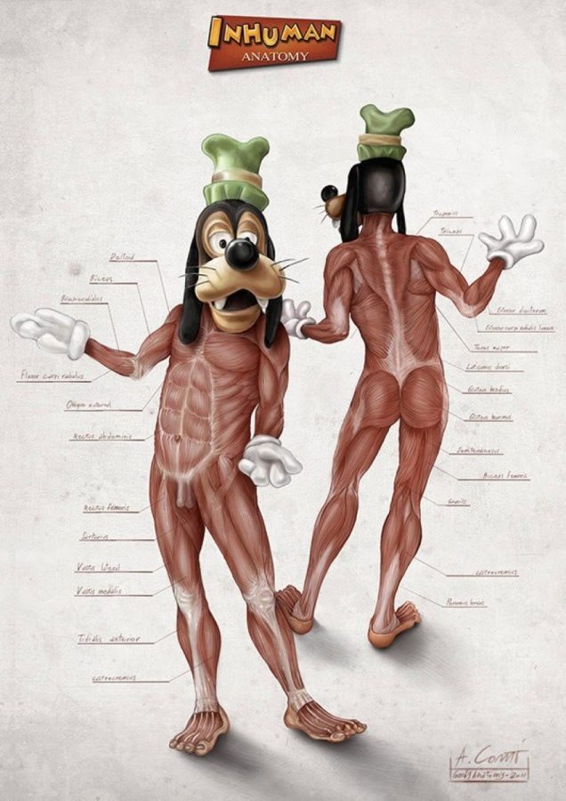 Анатомия персонажей Disney