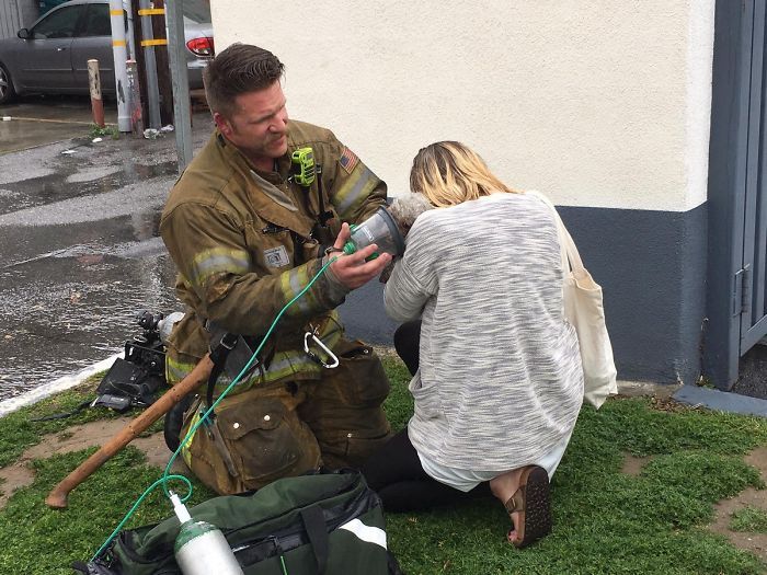 Пожарный Андрю Клейн реанимировал собаку по имени Налу при спасении на пожаре