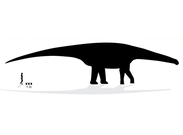 В Австралии обнаружили самый большой след динозавра