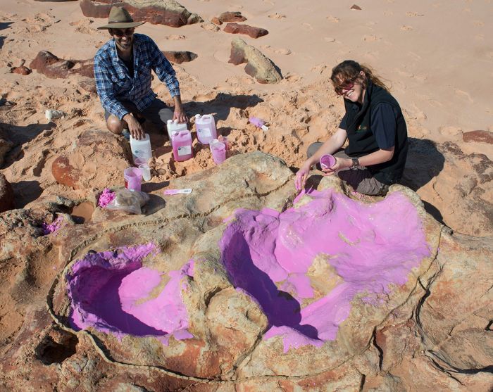 В Австралии обнаружили самый большой след динозавра
