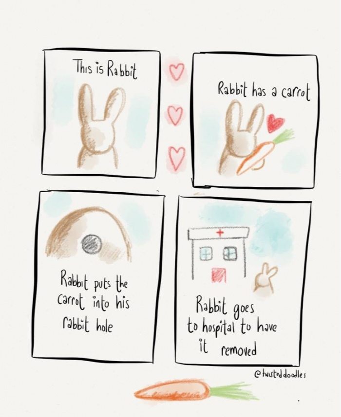 История кролика
