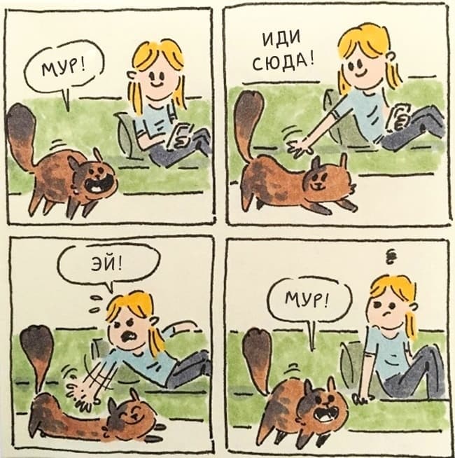 Смешные и правдивые комиксы о жизни с котом