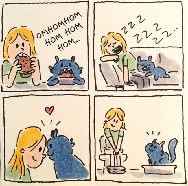 Смешные и правдивые комиксы о жизни с котом
