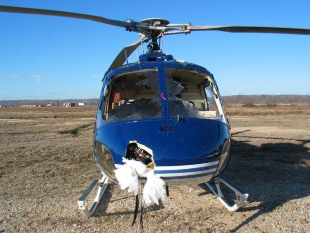 Встреча медицинского вертолета со стаей птиц