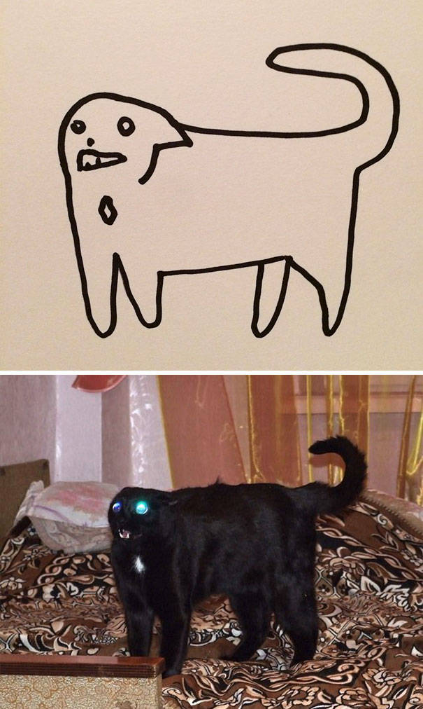 Прикольные рисунки котов 