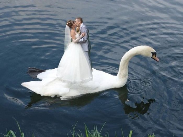 Ужасный свадебный фотошоп 
