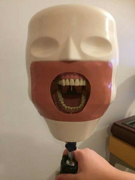 Страшнее стоматологов только их учебные манекены
