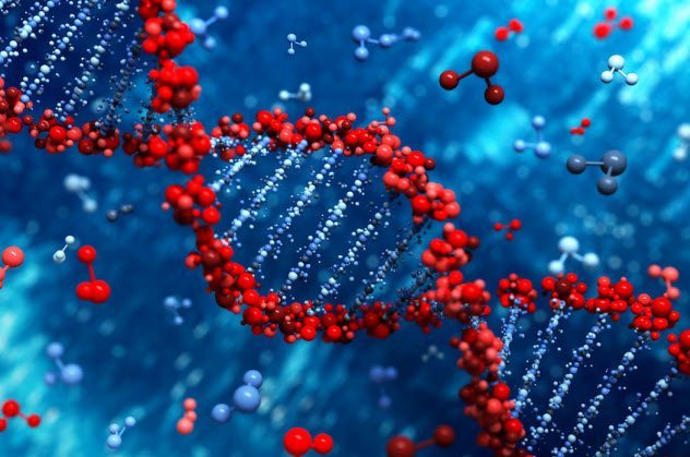 10 невероятных вещей, которые учёные впервые сделали с ДНК