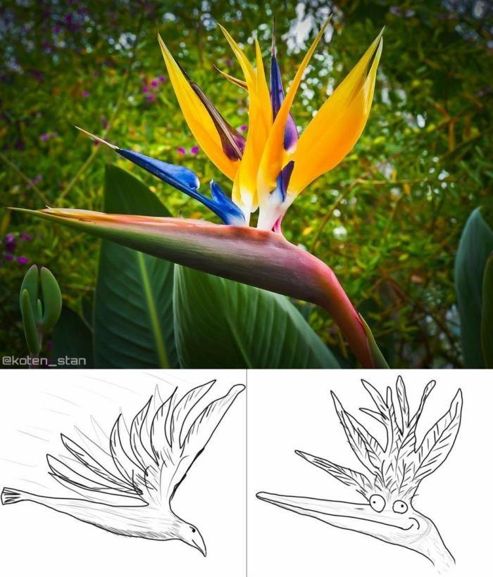 Только сейчас понял, что это растение называется "райская птица" из–за картинки слева, а не справа