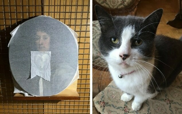 Кошка британского искусствоведа испортила восстановленную картину 17 века 
