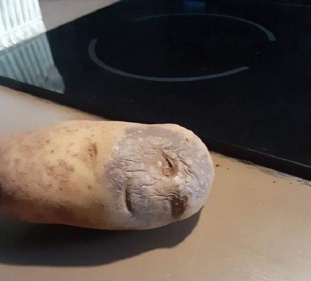 Новый мем: страдающая картошка 
