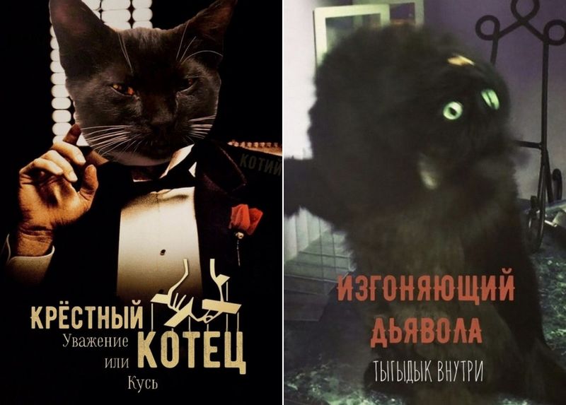 Постеры кинохитов с котами в главных ролях