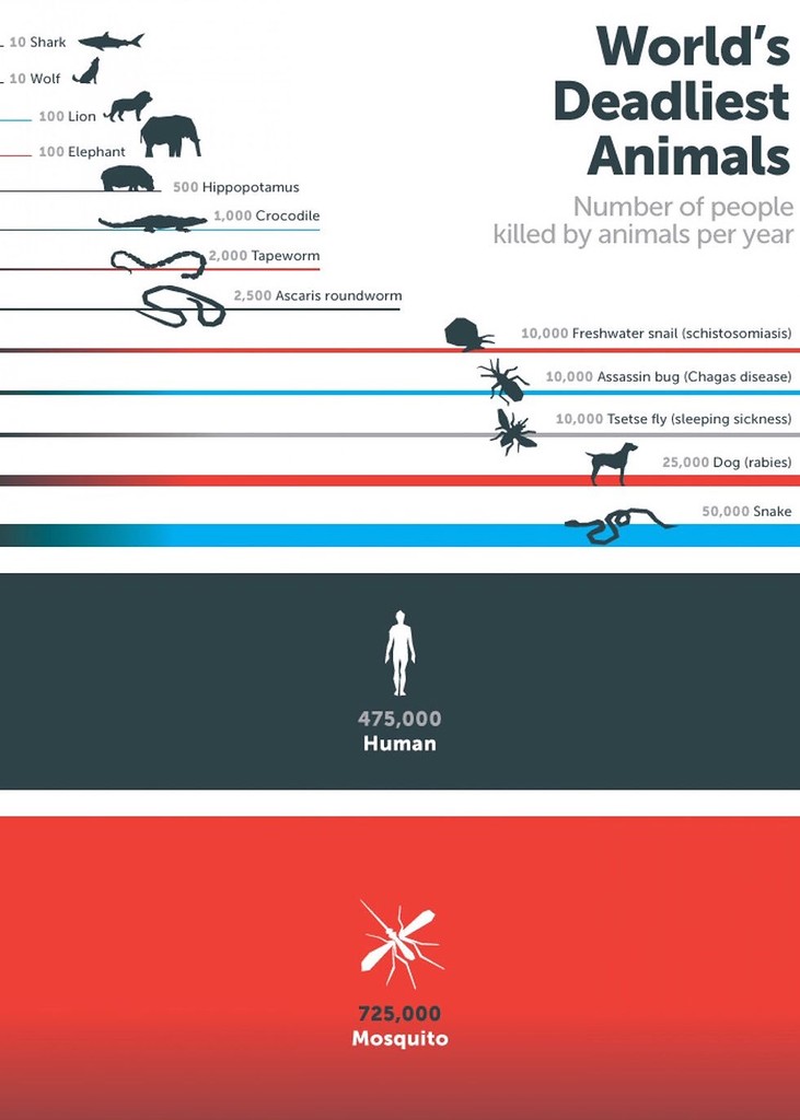 Статистика: количество людей, убиваемых животными за год