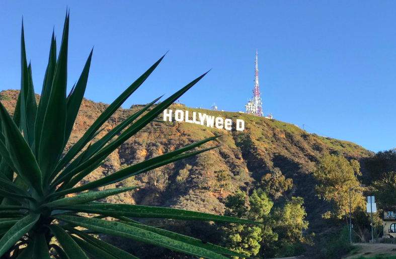 Надпись «Hollywood» на калифорнийских холмах изменили на «Hollyweed»