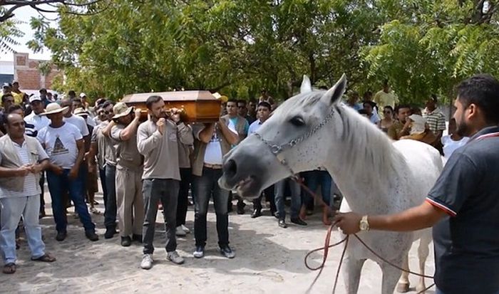 Душераздирающее фото: лошадь прощается со своим хозяином