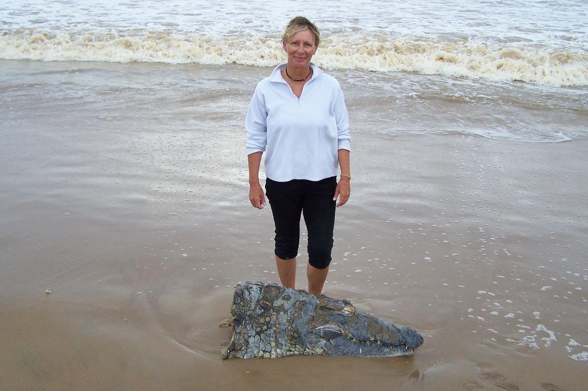 Огромная акула отгрызла голову трехметровому крокодилу