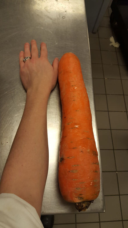 Морковь сильной и независимой женщины