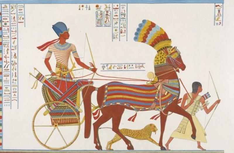 10 фактов о древнеегипетских животных, которые приведут вас в недоумение