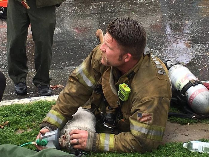 Пожарный Андрю Клейн реанимировал собаку по имени Налу при спасении на пожаре