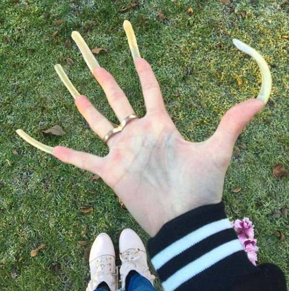 Девушка 3 года не стригла ногти, и вот что из этого вышло 