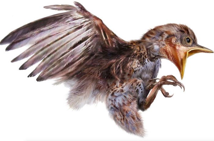 В янтаре обнаружили древнюю птицу, жившую 99 миллионов лет назад 