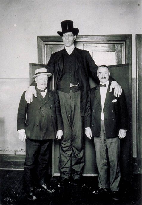Федор Махнов - самый высокий из когда-либо живших на земле людей 