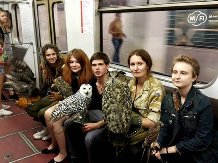 Странные пассажиры из метро разных городов мира