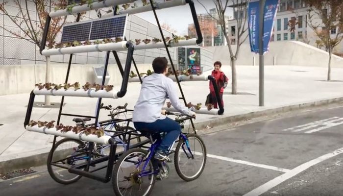 Корейцы собрали велоферму