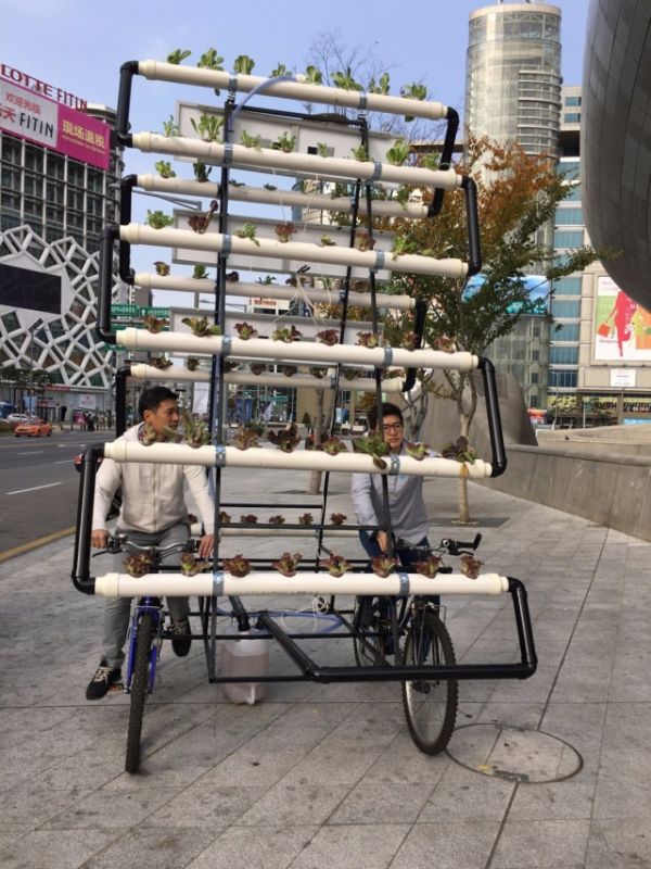 Корейцы собрали велоферму