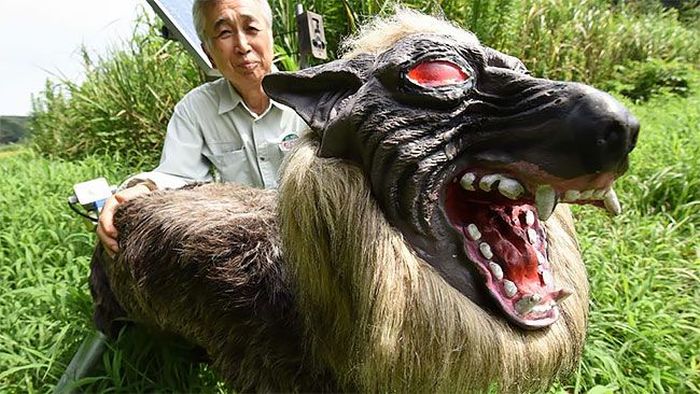 Робот-волк на охране японских полей