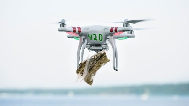 В Калифорнии запретили доставлять марихуану дронами после того, как несколько стартапов начали это делать