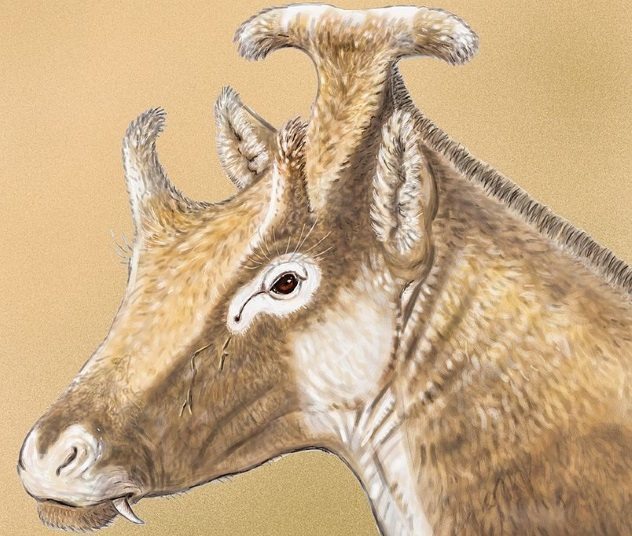 10 удивительных древних животных