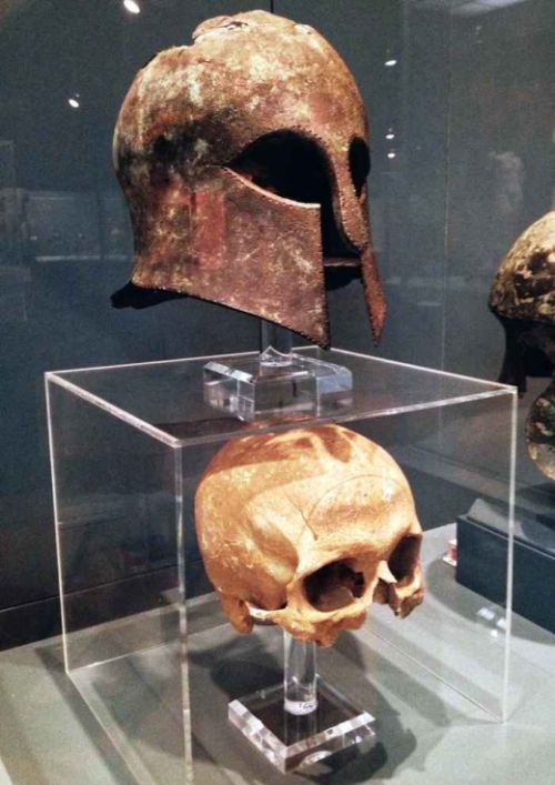 Останки воина-гоплита, павшего в бою, стали музейным экспонатом