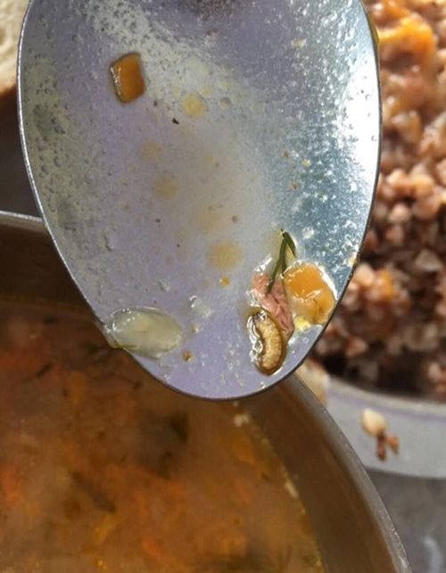 В пище украинских летчиков-курсантов обнаружили червей и тараканов