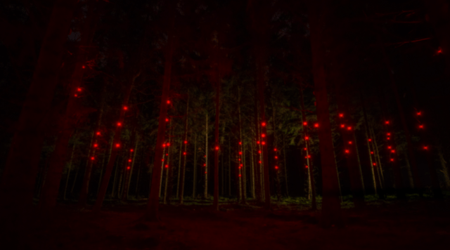 «Цифровой организм» в голландском лесу