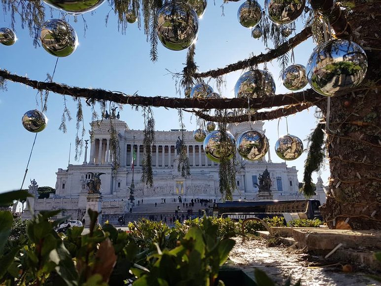 Праздничная елка в Риме засохла до Рождества