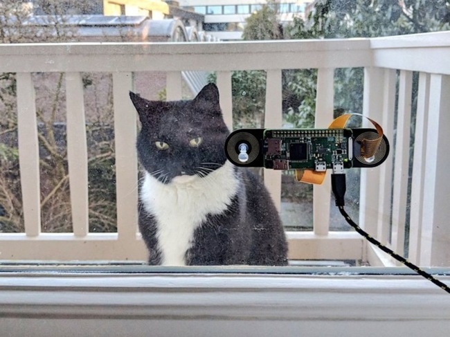 Голландский инженер сделал систему распознавания морды своего кота, чтобы пускать его домой