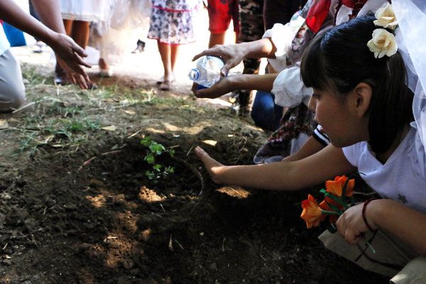 На массовой свадьбе мексиканки вышли замуж за деревья