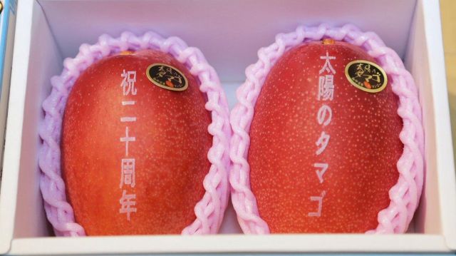 Сколько может стоить манго класса "Премиум" в Японии