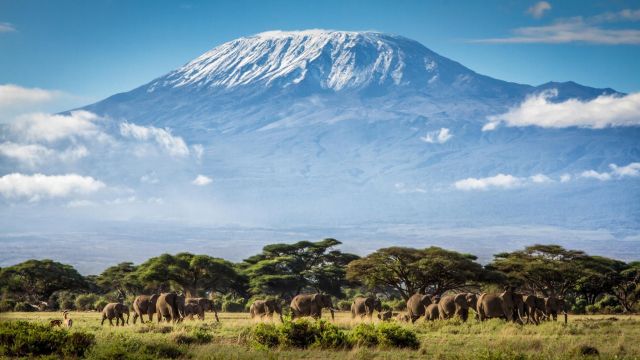 7-летний индийский альпинист покорил высочайшую точку Африки - гору Килиманджаро
