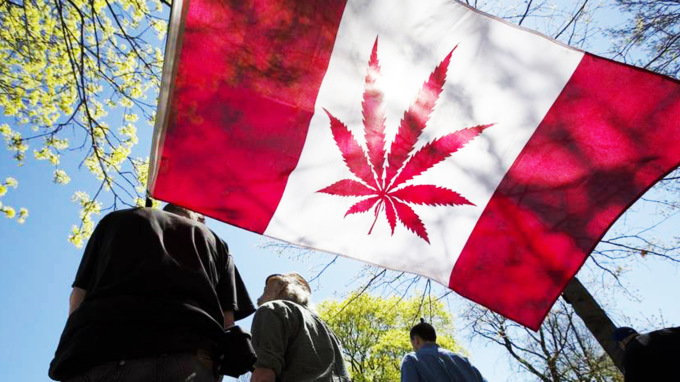 Канада легализовала марихуану. Как страна к этому шла и почему не всем это нравится