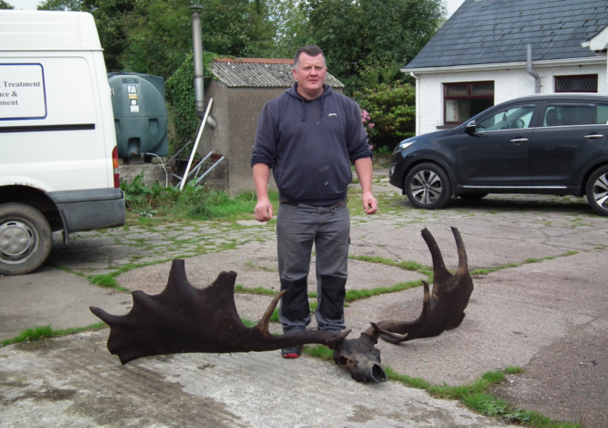 В Северной Ирландии рыбак случайно выловил череп лося, принадлежащего к вымершему 10 000 лет назад виду