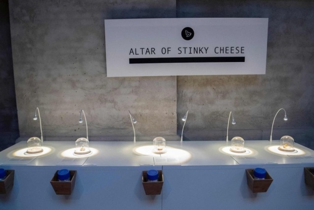 Самые странные экспонаты Музея отвратительной еды в Швеции 