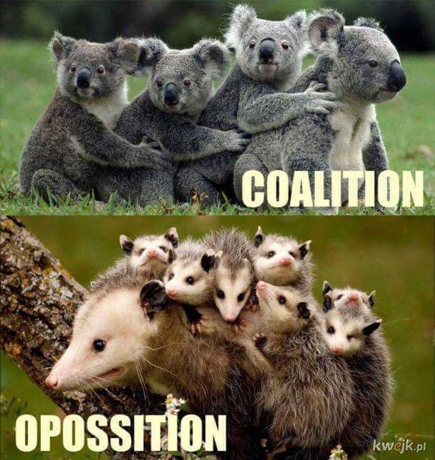 Коалиция и оппозиция