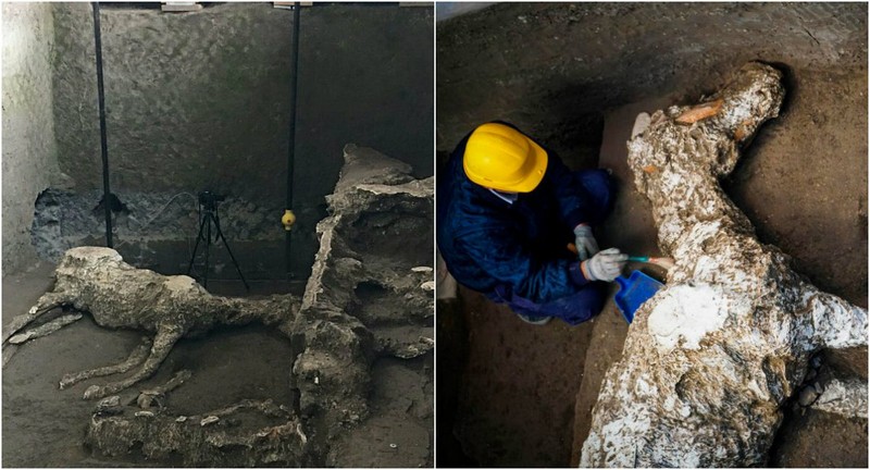 Спустя 2000 лет после извержения вулкана Везувий в Помпеях нашли останки лошади